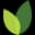 Agrograph logo
