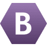Bloomfire logo