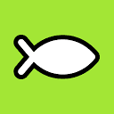 Brainfish logo