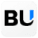 Busy Software logo