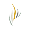 eFuneral logo