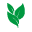 Evergreen logo