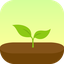 Forest logo