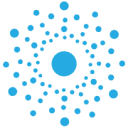 FRM Solutions logo