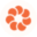 Fyorin logo