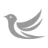 Haize Labs logo