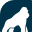 Health Gorilla logo