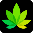 IndicaOnline logo