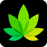 IndicaOnline logo