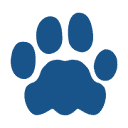 Leon Software logo