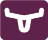 Longhorn logo