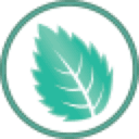 Mintsoft logo