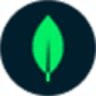 MongoDB logo