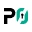 P0 Security logo
