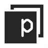 Panaseer logo