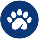 Pandapé logo