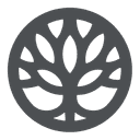 Parting Pro logo