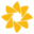 Pimsy EHR logo