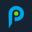 Playsight logo