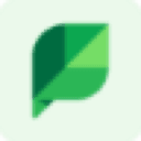Repustate logo
