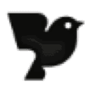 Robin AI logo