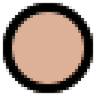SalonTarget logo