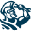 ServiceTitan logo