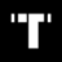 Tempus logo