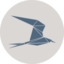Tern logo