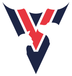 VetPort logo