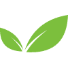 WellRight logo