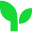 Moneytree logo