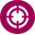 Neo Veterinary Software logo